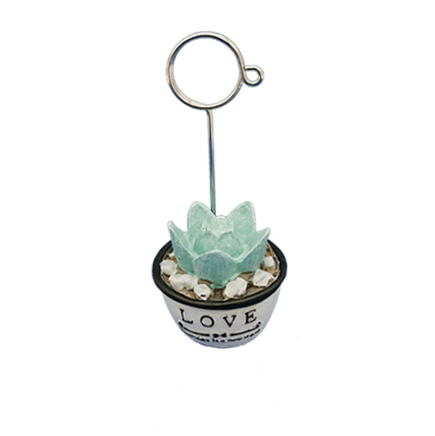 Succulent Memo Holder